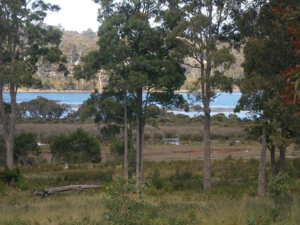 Top Of The Lake Holiday Units Merimbula Eksteriør bilde