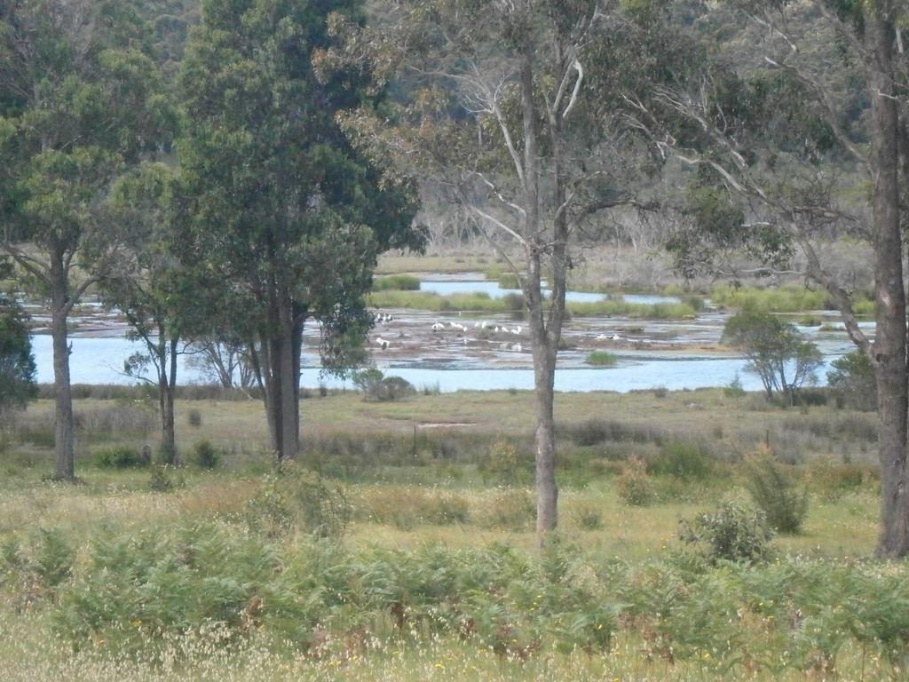 Top Of The Lake Holiday Units Merimbula Eksteriør bilde